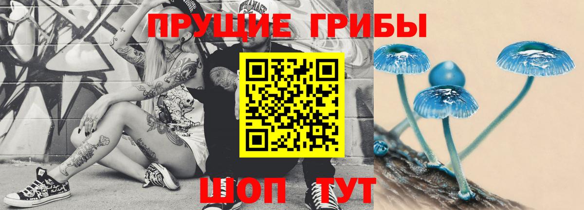 Бахчисарай  Галлюциногенные грибы Psilocybe  Вход с VPN  Псилоцибиновые грибы Cubensis 