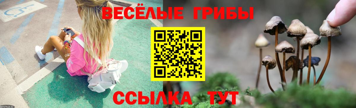 Галлюциногенные грибы MAGIC MUSHROOMS Бахчисарай